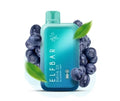 ELF BAR RAYA D1 – Blueberry Mint - Vape Shop Gurugram