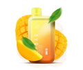 Elfbar Raya D1 – Double Mango - Vape Shop Gurugram