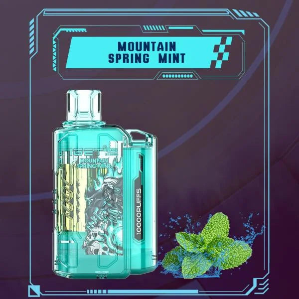 IGET FLARE B10000 – Mountain Spring Mint - Vape Shop Gurugram