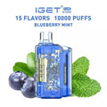 IGET FLARE B10000 – Blueberry Mint - Vape Shop Gurugram